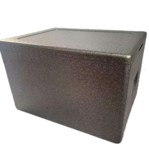 EPP Foam Ice Box Cold Storage